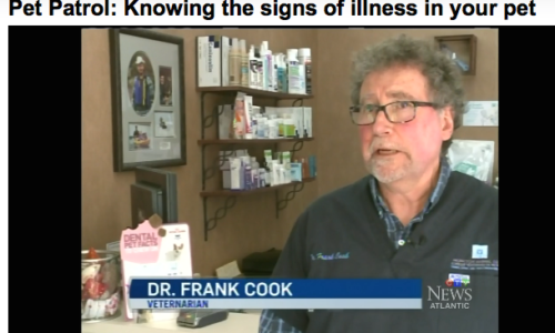 Screenshot of Dr. Frank Cook on CTV News