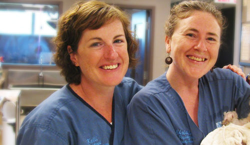 Two veterinarians smiling and holding a dog